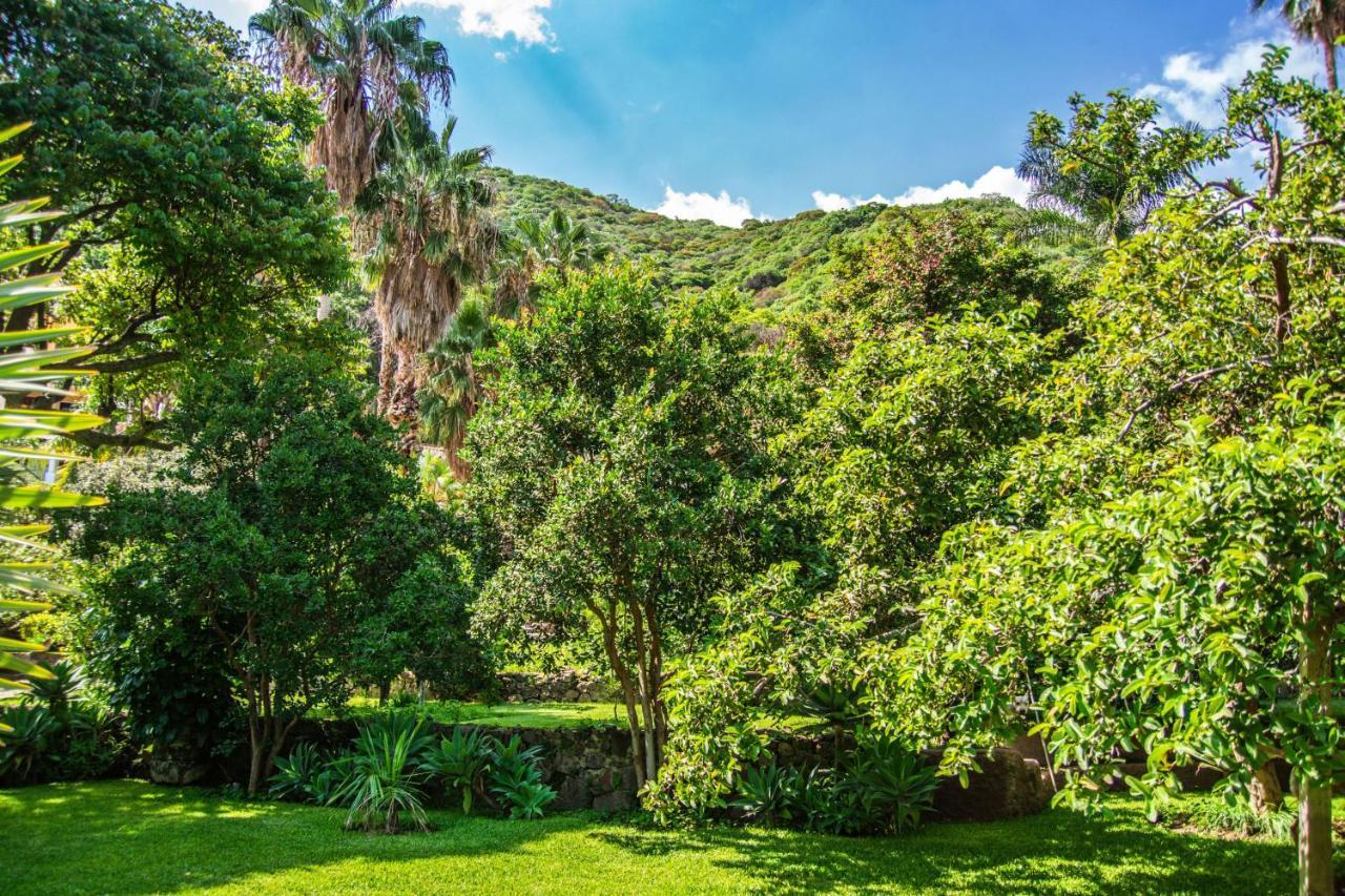 Casa Galeana- Tropical 1-Bd 1-Wc Mountain Top Luxury Suite With Stunning Views Ajijic Exteriör bild