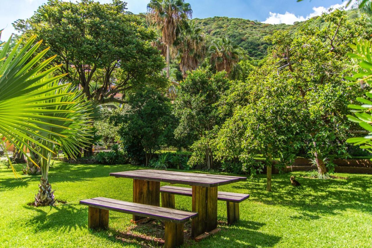 Casa Galeana- Tropical 1-Bd 1-Wc Mountain Top Luxury Suite With Stunning Views Ajijic Exteriör bild