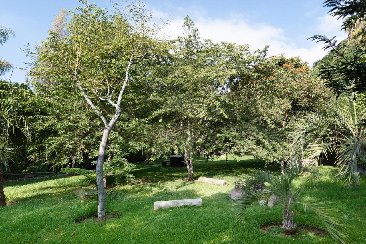 Casa Galeana- Tropical 1-Bd 1-Wc Mountain Top Luxury Suite With Stunning Views Ajijic Exteriör bild