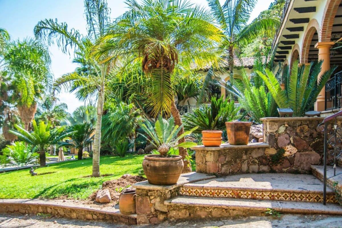 Casa Galeana- Tropical 1-Bd 1-Wc Mountain Top Luxury Suite With Stunning Views Ajijic Exteriör bild